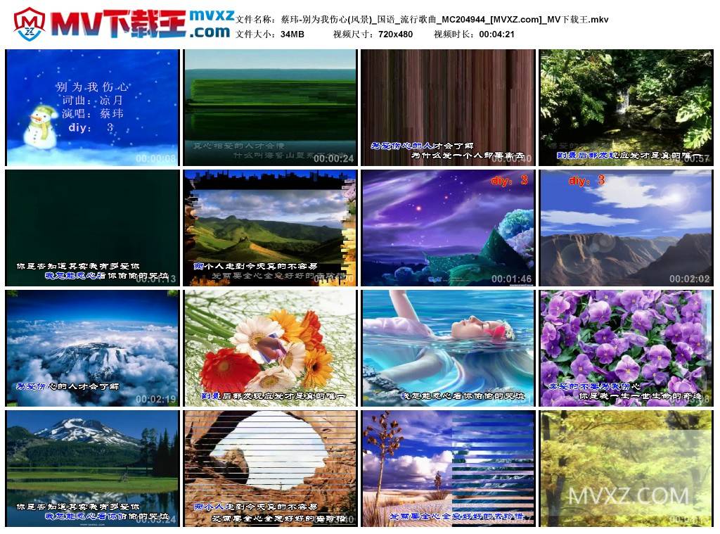 蔡玮-别为我伤心(风景)_国语_流行歌曲_MC204944